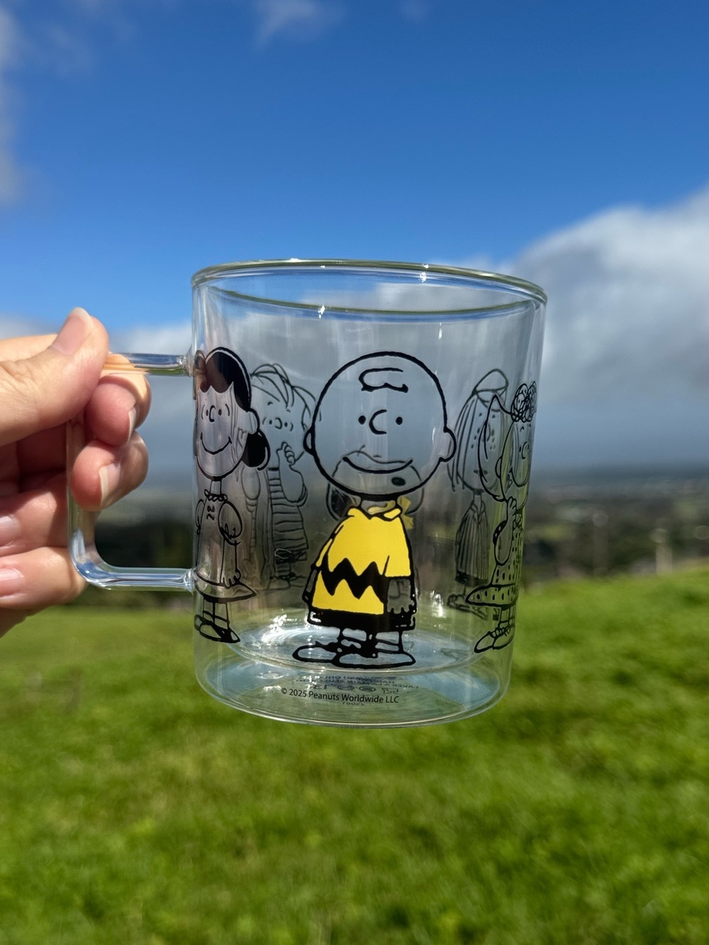 ZAK! Peanuts Snoopy Glass Double Walled Mug 13.5oz